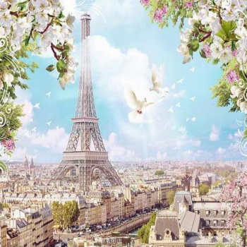 Фотопанно "Голуби над Парижем H-003", 2000*2700мм