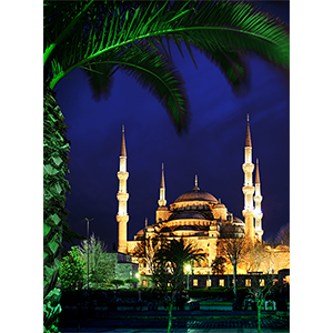 Фотопанно "Вид на голубую мечеть C-193", 2000*2700мм