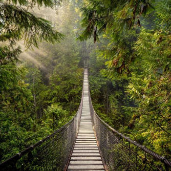 Фотообои "Moda Interio", "Мост в лесу", 2700*2700мм