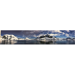 Интерьерная панель "Природа 220", 3000*600*1,5мм