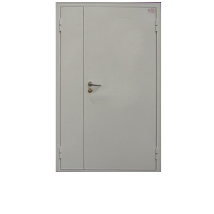 Дверь входная противопожарная двухстворчатая , 1200*2050*50мм, правая, металл -"Ral 7035, шагрень", Город Мастеров