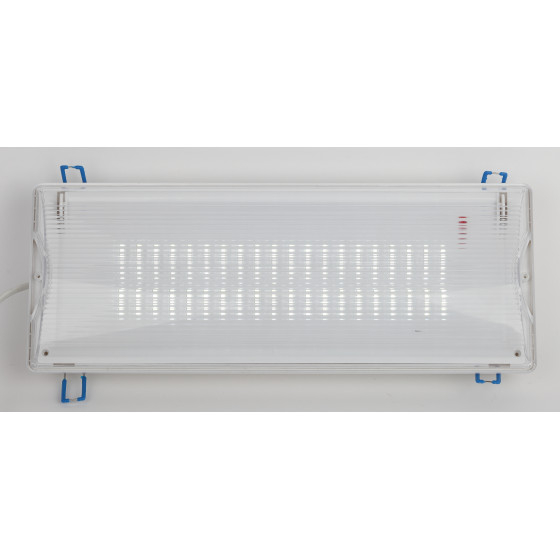 Светильник светодиодный аккум. DPA-301-1-65 40LED, 5Вт, 6500К, AC/DC, 355*136*58мм "ЭРА"