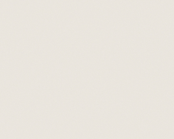 Обои П 2802.2 "Victoria Stenova" виниловые на флизелиновой основе, 1,06*10,05м
