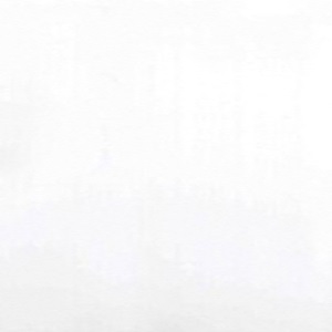 Панель ПВХ "Белый глянец", 250*10*2700мм