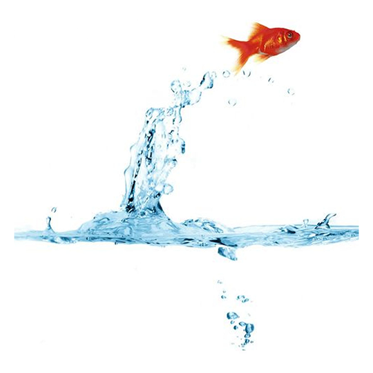 Шторка для ванной "Золотая рыбка" "MZ-45" в комплекте с кольцами 1800*2000мм полиэстер