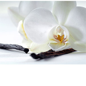 Фотопанно &quot;Орхидея и ваниль С1-321&quot;, 2000*1470мм