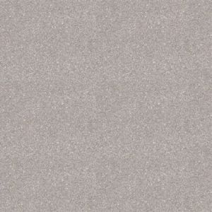 Линолеум полукоммерческий "Прокси 2, Мастер", 4м