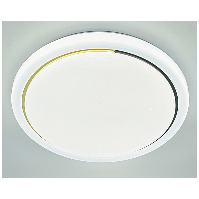 Светильник светодиодный  24Вт*2, 220В, 3000-6500К, ф400мм, с ПДУ черный+хром, "GLX-20810" "Aktiv Electro"