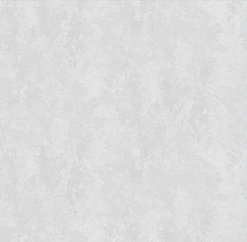 Обои П 2698.2 "Victoria Stenova" виниловые на флизелиновой основе, 1,06*10,05м 283477