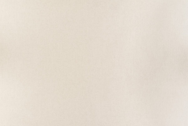 Обои П &quot;Артекс&quot; виниловые на флизелиновой основе, 1,06*10м