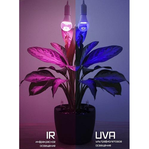 Фитолампа светодиодная А60 14Вт два режима UVA+IR E27 "ФАРЛАЙТ"