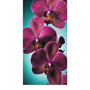 Фотообои "Decocode", "Орхидея на бирюзе 13-0421-FR", 1300*2500мм