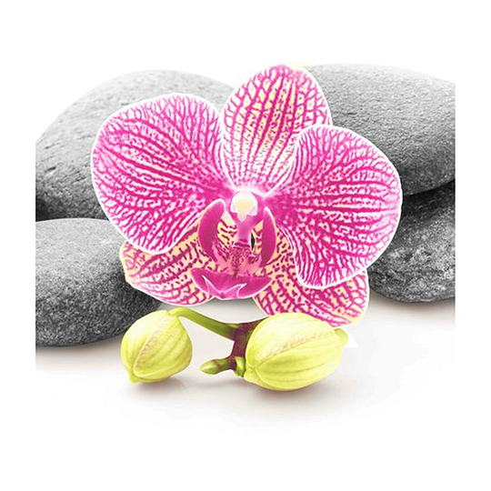 Шторка для ванной "Мудрость" "MZ-75" в комплекте с кольцами 1800*2000мм полиэстер