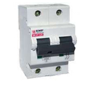 Автоматический выключатель ВА47-125 2Р 125А 15кА тип C "ЭКФ"