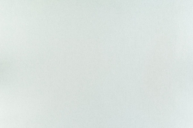 Обои П &quot;Артекс&quot; виниловые на флизелиновой основе, 1,06*10м