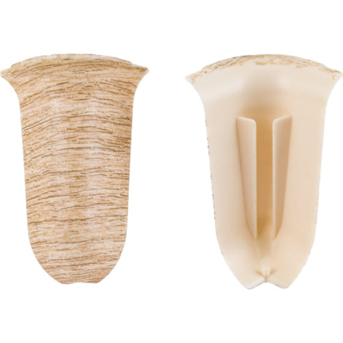 Угол наружный, "Дуб европейский"